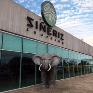 FREE SHOP SIÑERIZ